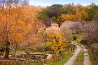 B&B Castel del Piano - Podere Tepolino - Bed and Breakfast Castel del Piano