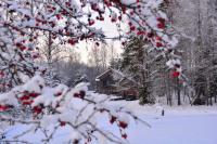 B&B Dobele - The Lake House "Ausatas" - Bed and Breakfast Dobele