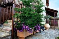 Nymfes Guesthouse - B&B