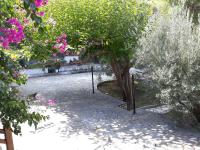 B&B Aria - Σπίτι σε ελαιώνα, house in an olive grove - Bed and Breakfast Aria
