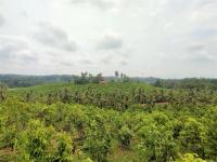 Aroma Woods - B&B Hikkaduwa