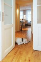 One-Bedroom Apartment with Sauna