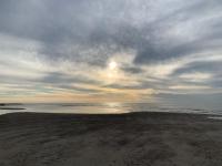 RIPTIDE Pet Friendly Bay Block-Walk to beach - B&B Town Bank
