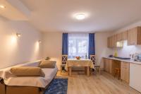 Studio with Sofa Bed