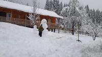 Cottage Shgedi - B&B Mestia