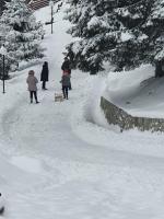Casa Sofia Bucovina - Bed and Breakfast