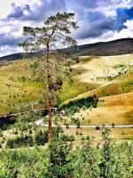 Previja Zlatibor Chalet, Chalets - Zlatibor