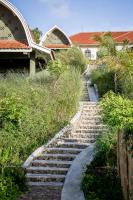 Drop In Surf Lodge - B&B