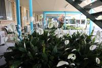 Kilcoy Gardens Motel - B&B