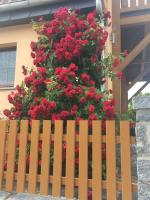 FeWo „Zum Napoleonstein“ - B&B Dresda