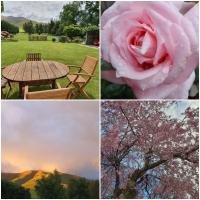 Burkes Pass Country Motels - B&B Burkes Pass