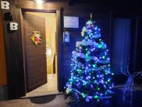 Il Vigneto - Ferienwohnung Castione Andevenno