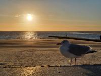 Apartamento de 2 dormitorios