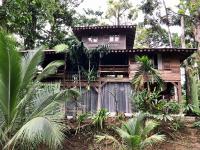 Casa de la Trepada - Bed and Breakfast Cocles