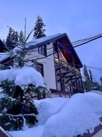Chalet Adriana - B&B Bukovel