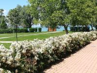 Zamárdi Sirály - B&B Zamárdi