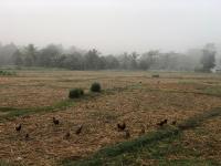 Pimpa House พิมพาเฮาส์ - B&B Ban Hua Nam Mae Sakuet