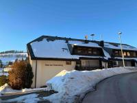 Cozy Condo, Ski in and Out - B&B Todtnau