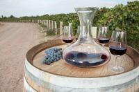Apartamento Deluxe Senderos del Vino I, con cochera incluida, Desayuno opcional - Chambres d'hôtes Mendoza