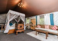 Sloth Bear Tent with Private Pool (10% off on Wildlife Safaris)