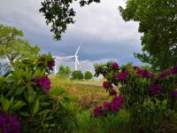 Two-Bedroom Standard Apartment