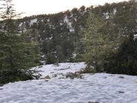 Casa con 3 Camere da Letto