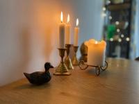 Lovely 2-bedroom serviced apartment with SPA - B&B Bansko