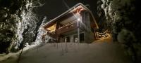 Chalet mit 1 Schlafzimmer
