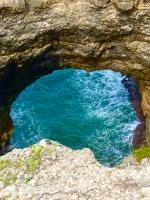 La Marie-Galantaise dans la nature - B&B Beaurenom