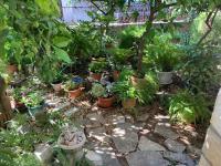 Villa Marga - B&B