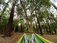La maison de Maritxu - Entre plage et foret - Landes - Pays Basque - B&B Tarnos
