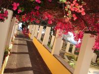 Private Pool Apt. with Great View - B&B Funchal