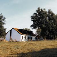 D&A nest - B&B Retie