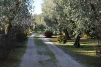 Casa Ulivo - B&B Montinelle