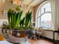 Zum weißen Haus - B&B Schwerin