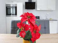 Allgäu Oase - B&B Immenstadt im Allgäu