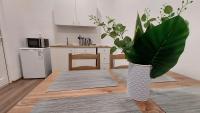 Estudio con cama extragrande y sofá cama