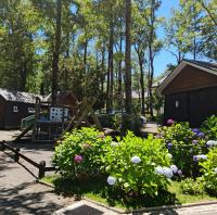 Departamento en la naturaleza de Pucón - B&B Pucón