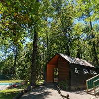 Departamento en la naturaleza de Pucón - B&B Pucón