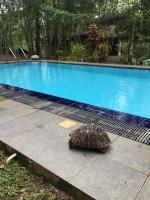 Villa Habarana - Bed and Breakfast Habarana