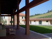 Le Vigne di Clementina Fabi - B&B Montedinove