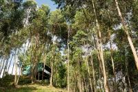 Casa Container FIGO em meio a natureza na Serra Gaúcha - B&B Flores da Cunha