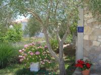 Apartments Milena - B&B Pašman