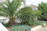 Salenthouse - B&B Racale