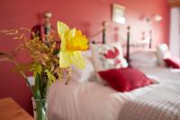 Camera Doppia con Letti Singoli Spaziosa