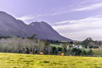 Hemel 'N Aarde Stud - B&B Hermanus
