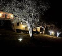 Tenuta Sant'Apollinare - B&B