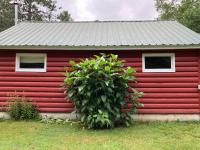 The Lorca Adirondacks Motel - B&B