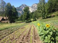 Bauernhof Hof Unternberg - B&B Magrè all'Adige