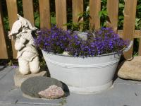 FeWo Ostseestrand - B&B Neustadt in Holstein